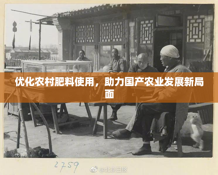 优化农村肥料使用，助力国产农业发展新局面