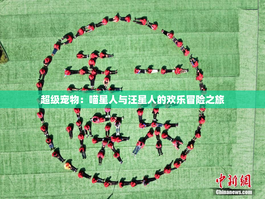 超级宠物：喵星人与汪星人的欢乐冒险之旅