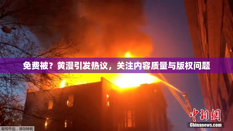 免费被？黄漫引发热议，关注内容质量与版权问题