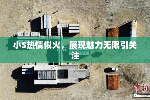 小S热情似火，展现魅力无限引关注
