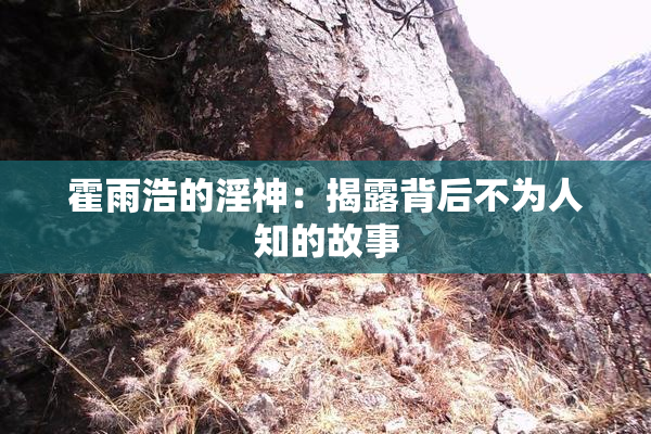 霍雨浩的淫神：揭露背后不为人知的故事