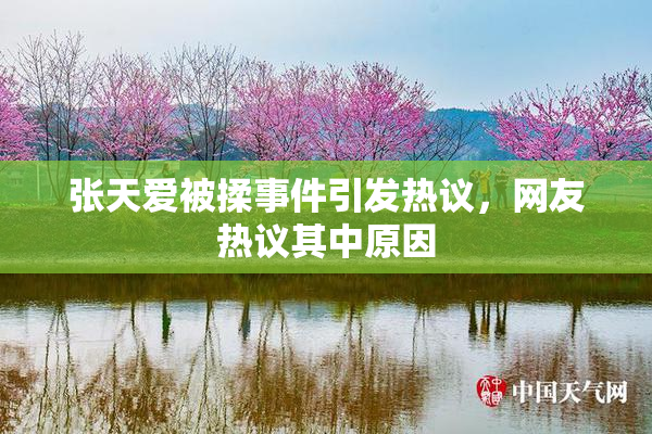 张天爱被揉事件引发热议，网友热议其中原因