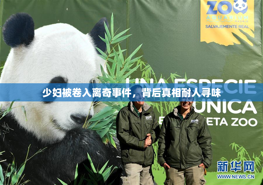 少妇被卷入离奇事件，背后真相耐人寻味