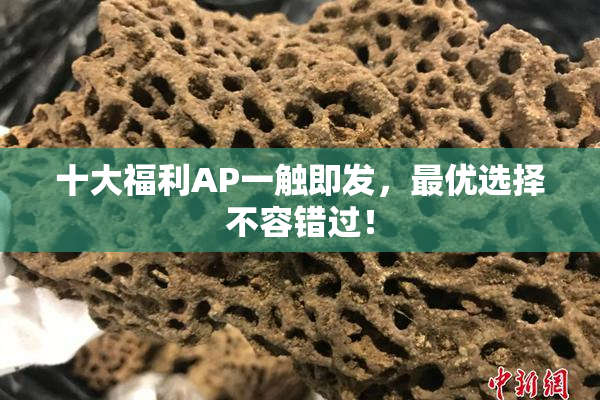 十大福利AP一触即发，最优选择不容错过！