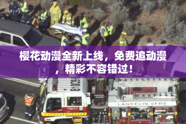 樱花动漫全新上线，免费追动漫，精彩不容错过！