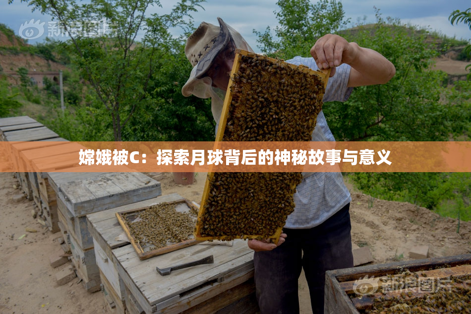 嫦娥被C：探索月球背后的神秘故事与意义