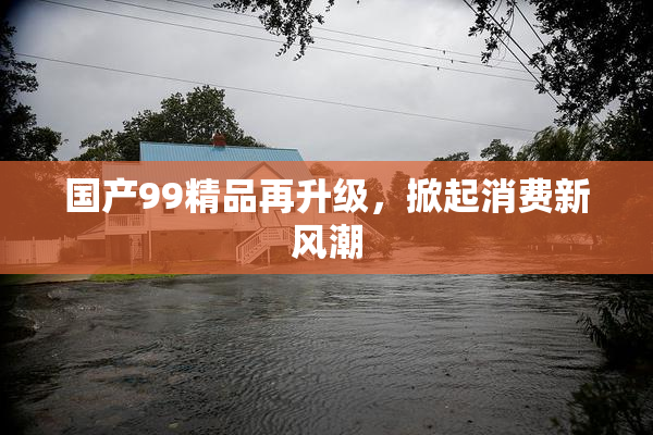 国产99精品再升级，掀起消费新风潮