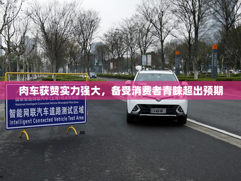 肉车获赞实力强大，备受消费者青睐超出预期