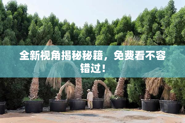 全新视角揭秘秘籍，免费看不容错过！
