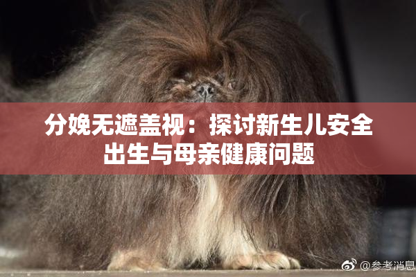 分娩无遮盖视：探讨新生儿安全出生与母亲健康问题
