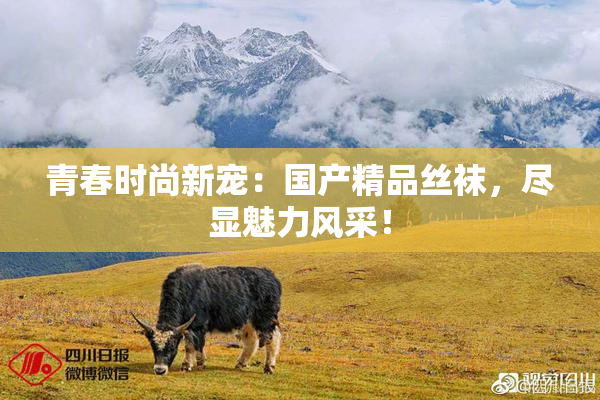 青春时尚新宠：国产精品丝袜，尽显魅力风采！
