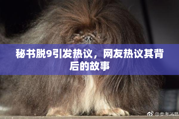 秘书脱9引发热议，网友热议其背后的故事