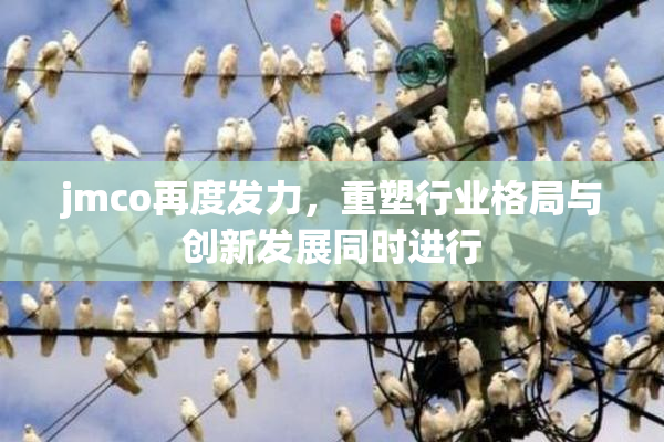 jmco再度发力，重塑行业格局与创新发展同时进行