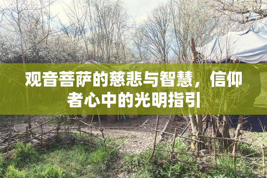 观音菩萨的慈悲与智慧，信仰者心中的光明指引