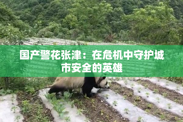 国产警花张津：在危机中守护城市安全的英雄