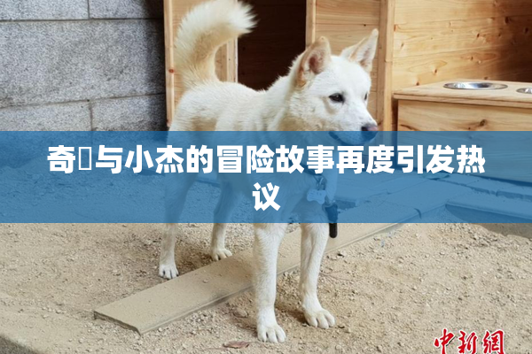 奇犽与小杰的冒险故事再度引发热议
