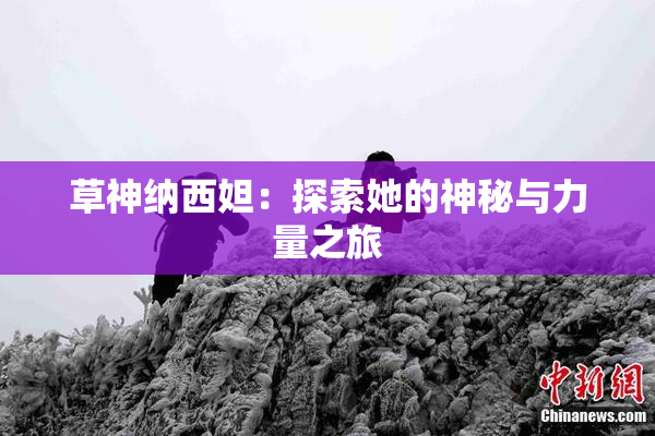 草神纳西妲：探索她的神秘与力量之旅