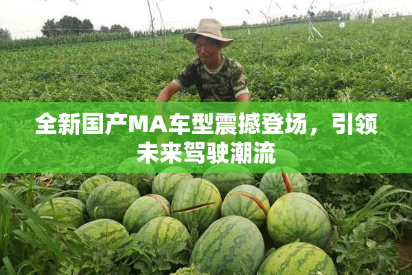 全新国产MA车型震撼登场，引领未来驾驶潮流