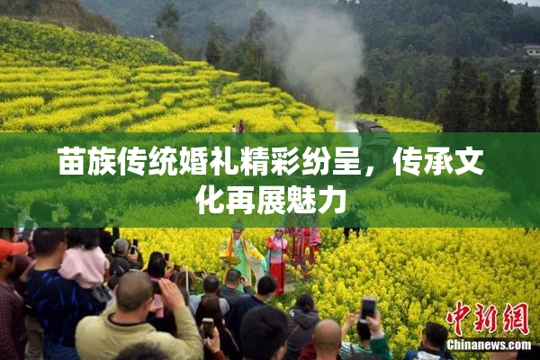 苗族传统婚礼精彩纷呈，传承文化再展魅力