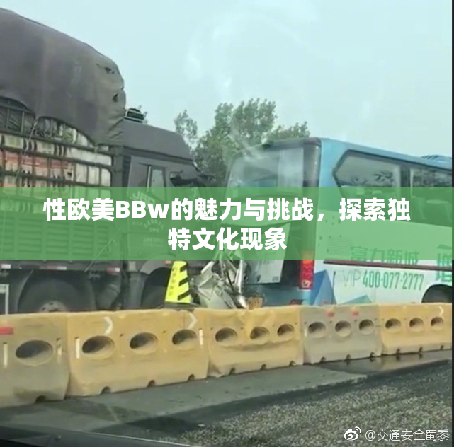 性欧美BBw的魅力与挑战，探索独特文化现象