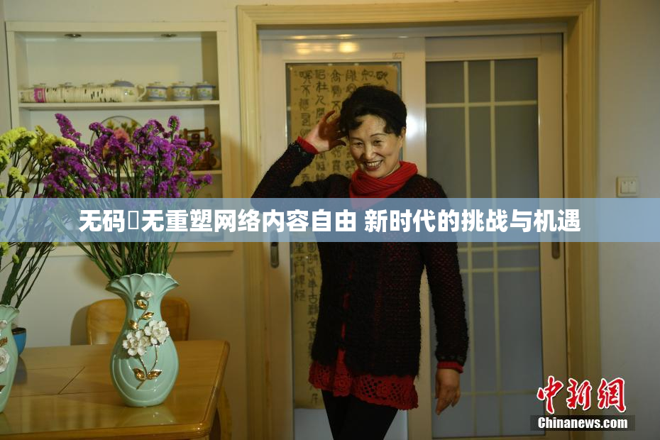 无码囯无重塑网络内容自由 新时代的挑战与机遇