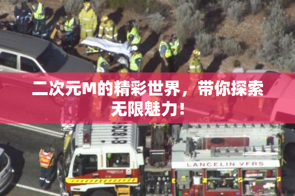 二次元M的精彩世界，带你探索无限魅力！