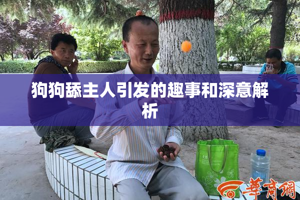 狗狗舔主人引发的趣事和深意解析