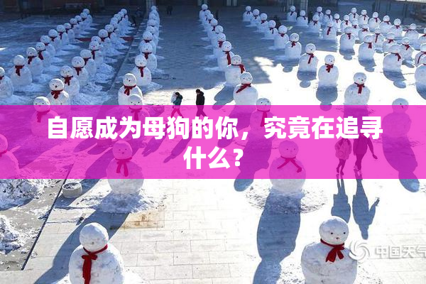 自愿成为母狗的你，究竟在追寻什么？