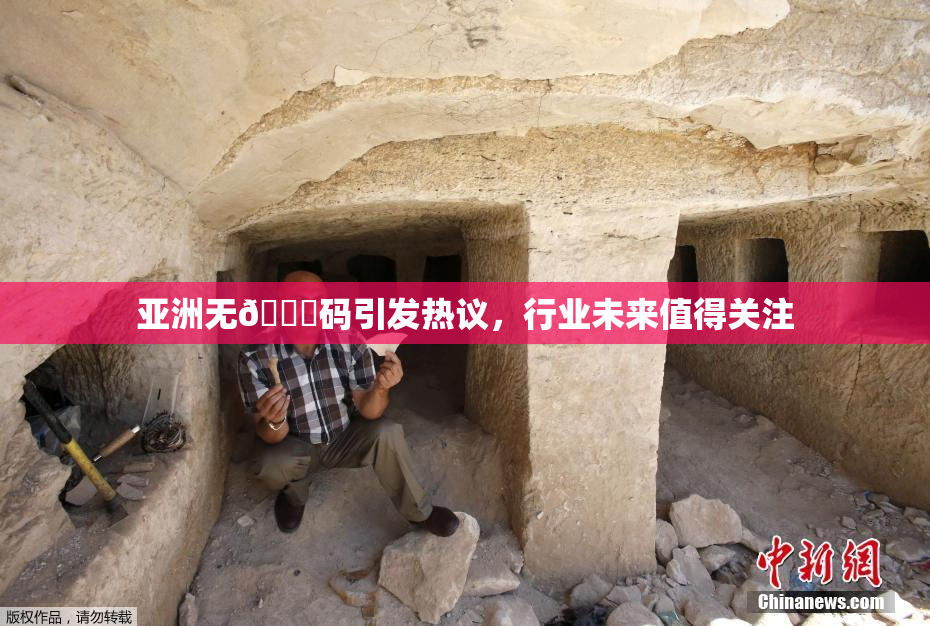 亚洲无🈚码引发热议，行业未来值得关注
