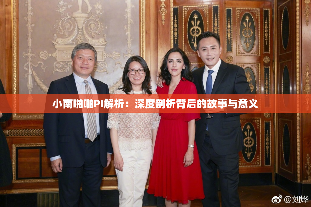 小南啪啪PI解析：深度剖析背后的故事与意义