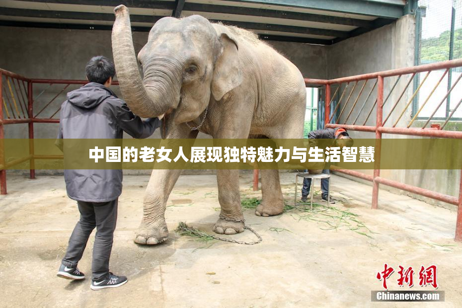 中国的老女人展现独特魅力与生活智慧