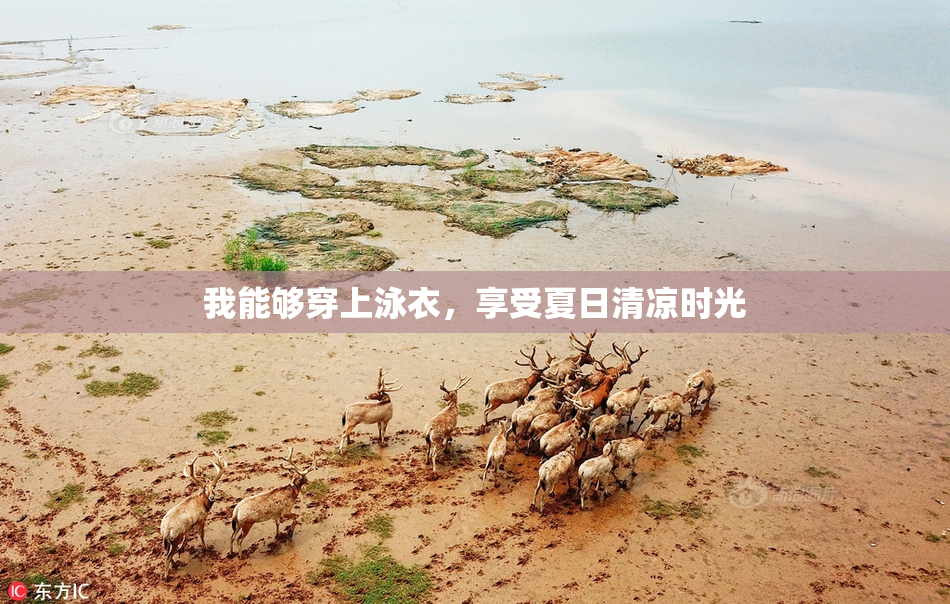 我能够穿上泳衣，享受夏日清凉时光