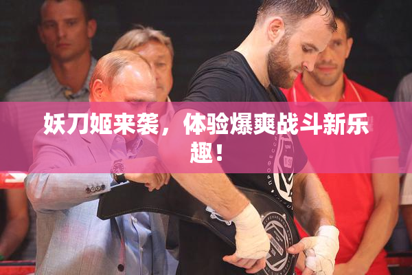 妖刀姬来袭，体验爆爽战斗新乐趣！