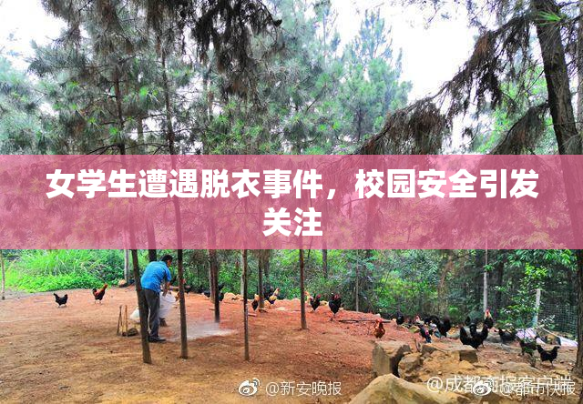 女学生遭遇脱衣事件，校园安全引发关注