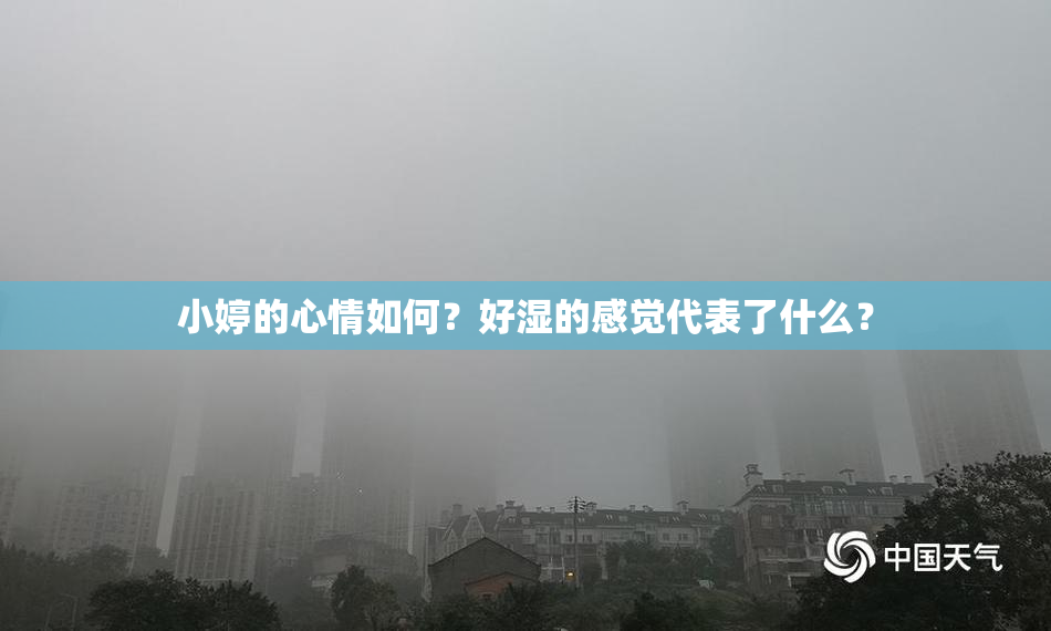 小婷的心情如何？好湿的感觉代表了什么？