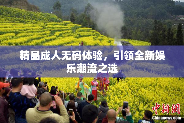 精品成人无码体验，引领全新娱乐潮流之选