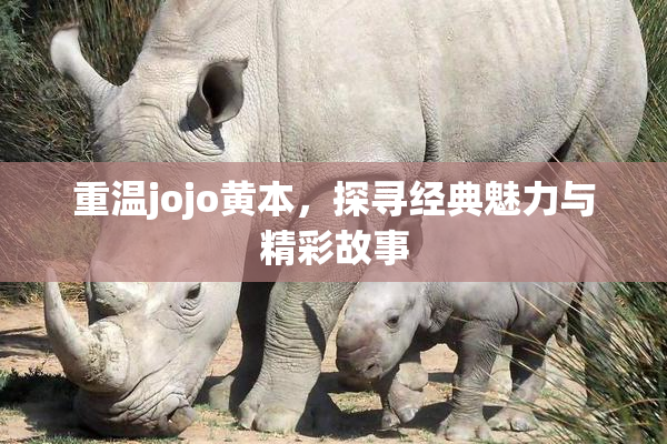 重温jojo黄本，探寻经典魅力与精彩故事