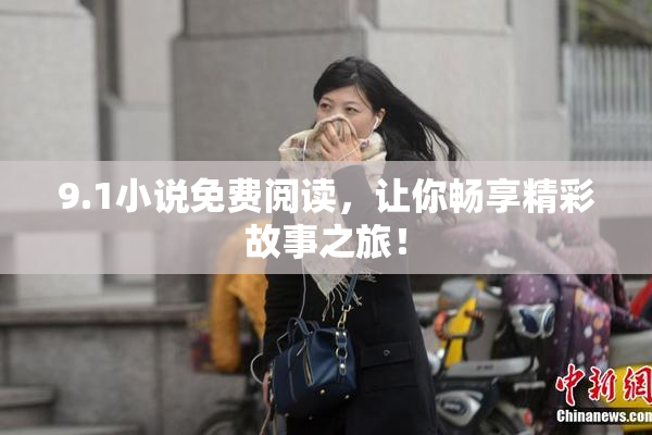 9.1小说免费阅读，让你畅享精彩故事之旅！