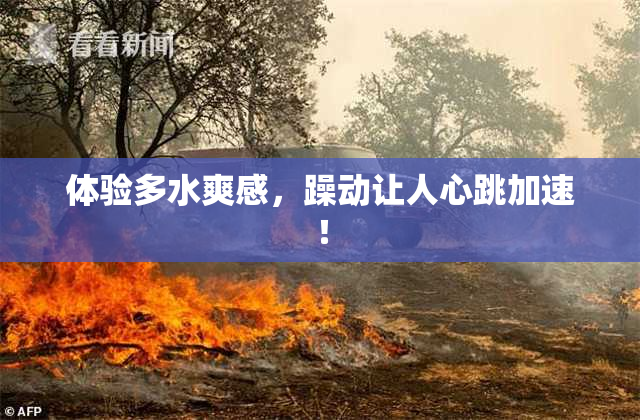 体验多水爽感，躁动让人心跳加速！