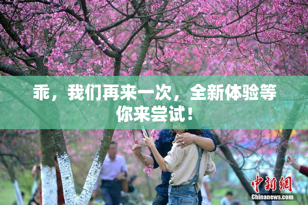 乖，我们再来一次，全新体验等你来尝试！