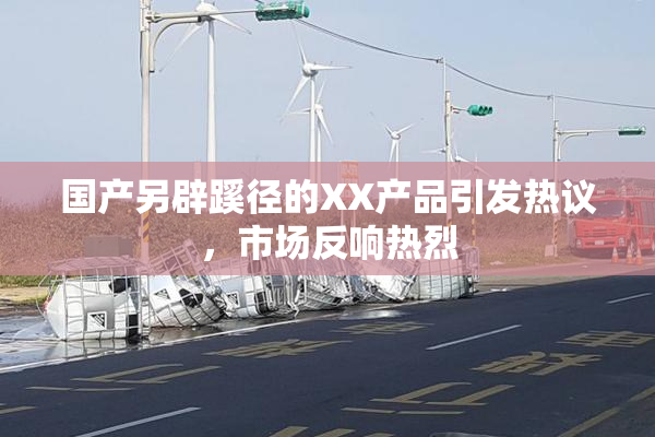 国产另辟蹊径的XX产品引发热议，市场反响热烈