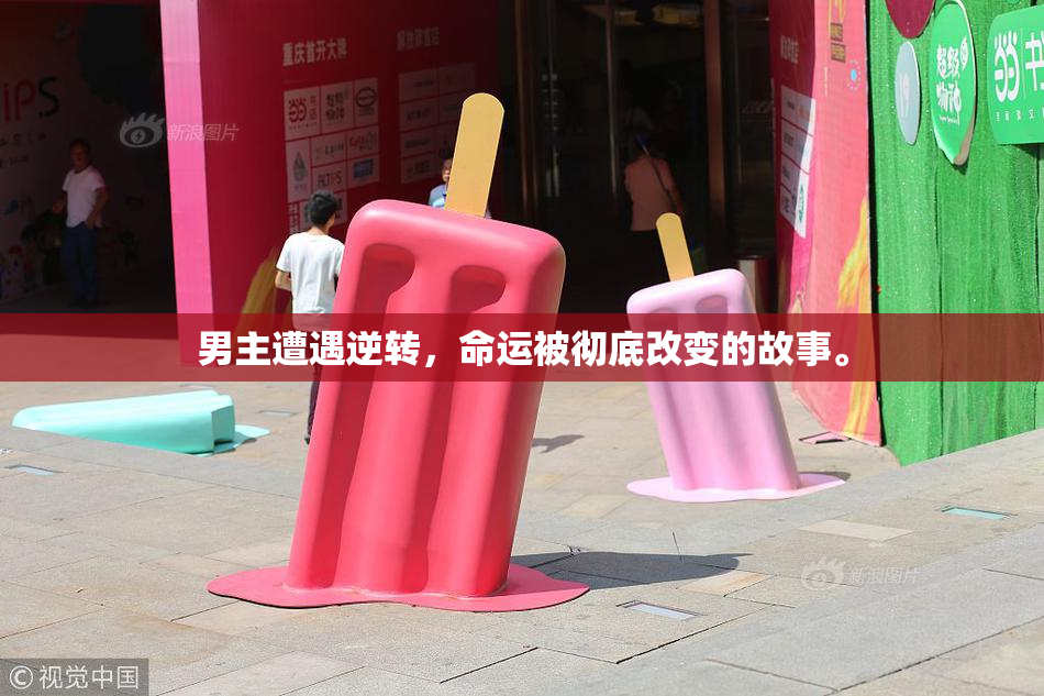 男主遭遇逆转，命运被彻底改变的故事。