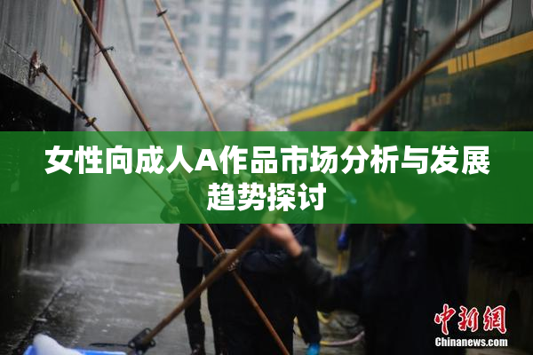 女性向成人A作品市场分析与发展趋势探讨