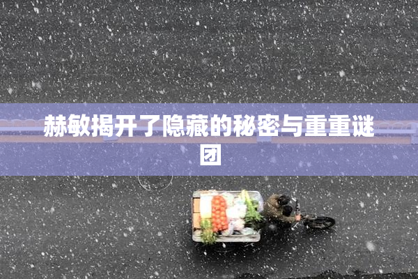 赫敏揭开了隐藏的秘密与重重谜团