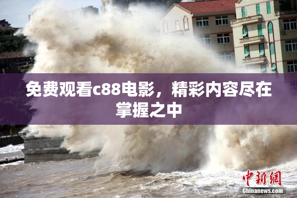 免费观看c88电影，精彩内容尽在掌握之中