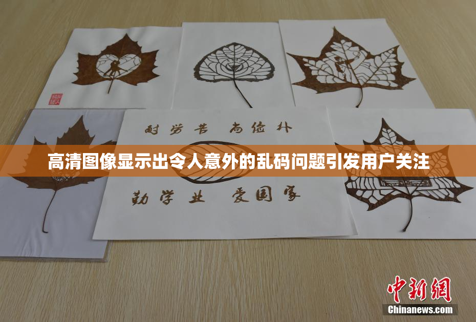 高清图像显示出令人意外的乱码问题引发用户关注