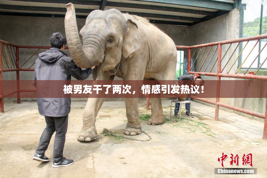 被男友干了两次，情感引发热议！
