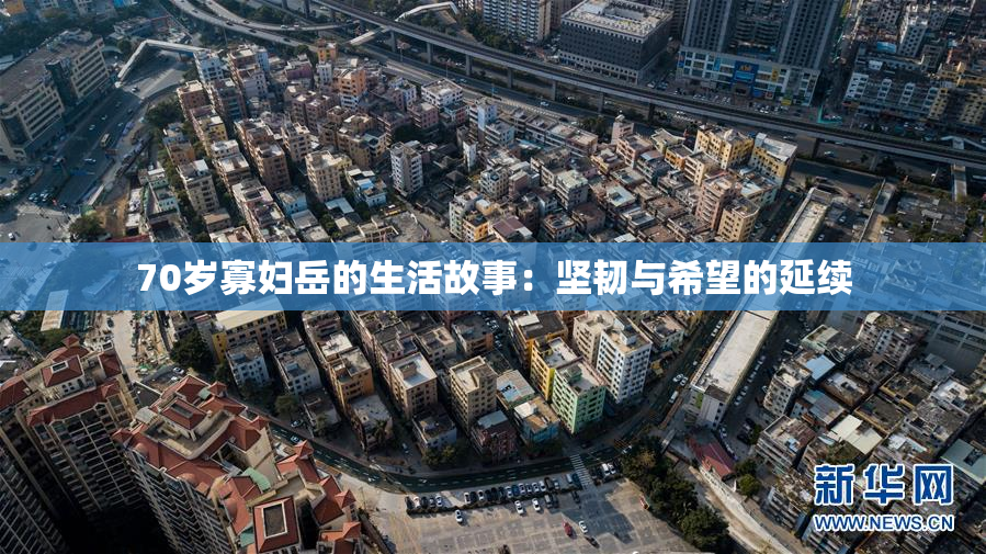 70岁寡妇岳的生活故事：坚韧与希望的延续