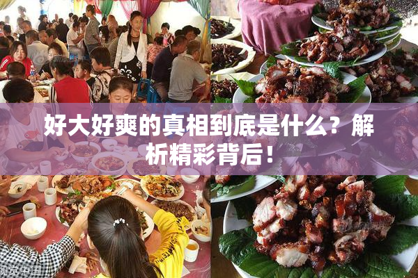 好大好爽的真相到底是什么？解析精彩背后！