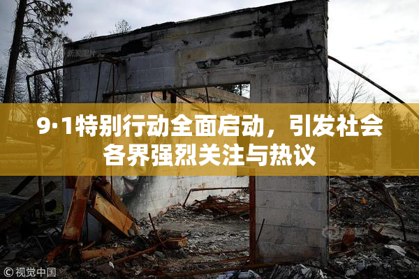 9·1特别行动全面启动，引发社会各界强烈关注与热议